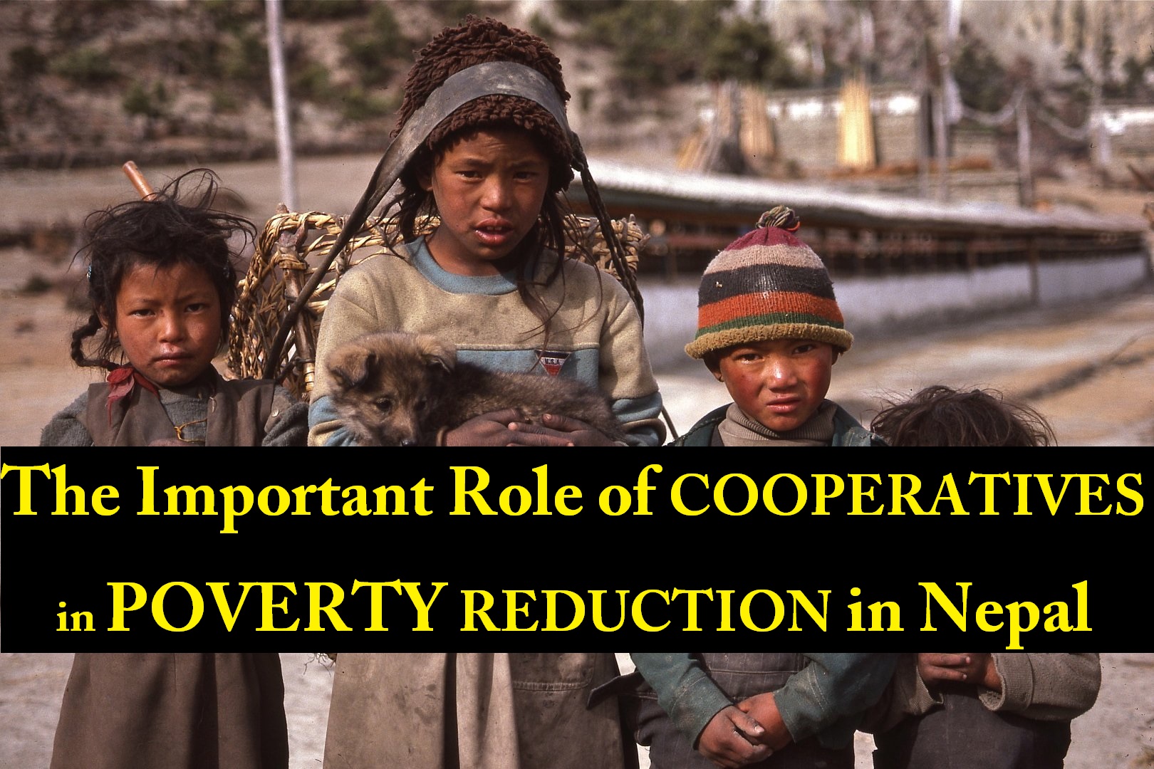 The Important Role of COOPERATIVES in POVERTY REDUCTION in Nepal