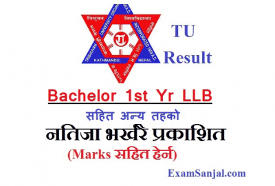 TU Result Bachelor Level 1st Year LLB & Other TU Results