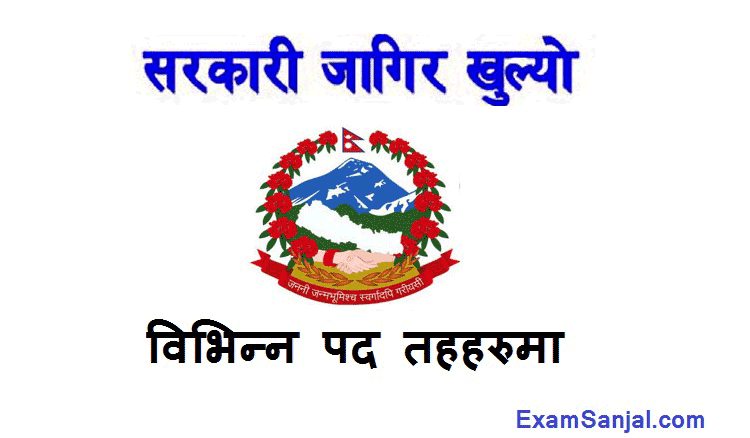IT Officer Job Vacancy Notice by Pradesh Government Nepal