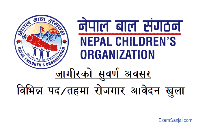 Nepal Bal Sangathan Nepal Children Organization NCO Job Vacancy Apply Now