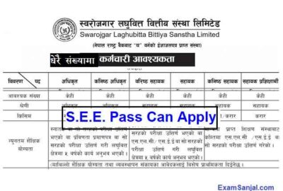 Sworojgar Laghubitta Job Vacancy Notice Apply Laghubitta Jobs Nepal