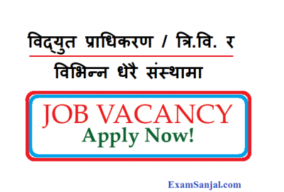 New Job Vacancy Notice by Nepal Electricity TU & other Vacancy Post