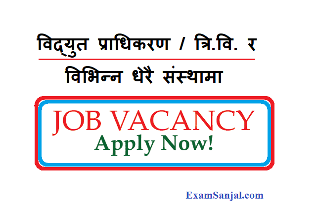New Job Vacancy Notice by Nepal Electricity TU & other Vacancy Post