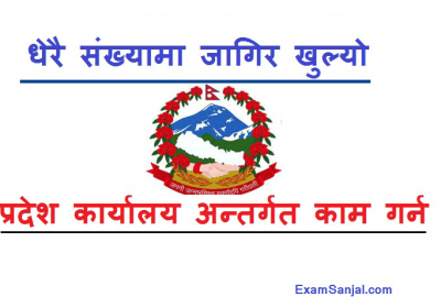 Samajik Bikash Mantralaya Pradesh Job Vacancy Notice