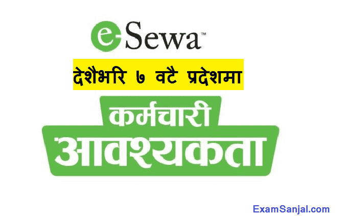 Esewa Job Vacancy Notice for various posts in all 7 Province