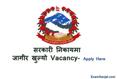 Government Project Job Vacancy for Economic Development Facilitator EDF