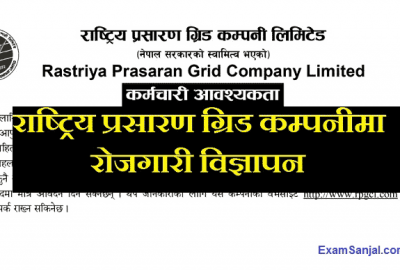 National Transmission Grid Company Job Vacancy Notice in CEO