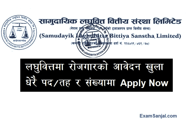 Samudayik Laghubitta Bittiya Sanstha Microfinance Job Vacancy Apply Now