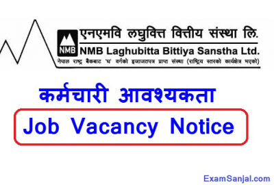 NMB Laghubitta Bittiya Sanstha Job Vacancy Notice Senior Assistant