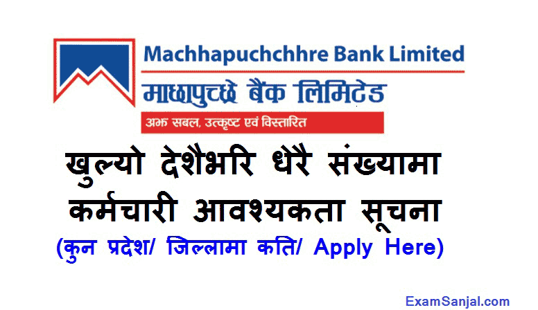 Machhapuchchhre Bank Limited Job vacancy notice various posts Level