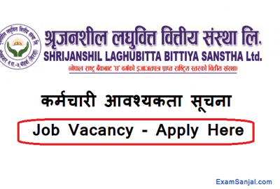 Shrijanshil Laghubitta Bittiya Sanstha Job Vacancy Notice various posts