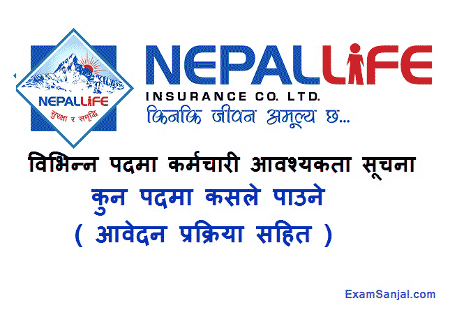 Nepal Life Insurance Company Job Vacancy Notice in various posts