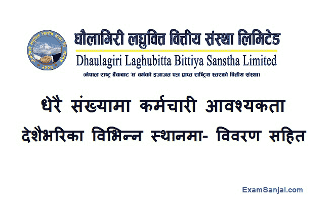 Dhaulagiri Laghubitta Bittiya Sasntha Job Vacancy Notice