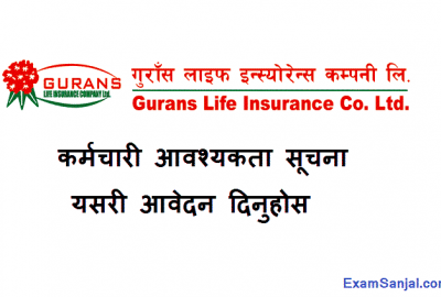 Gurans Life Insurance Company Job Vacancy Notice Officer Accountant CA