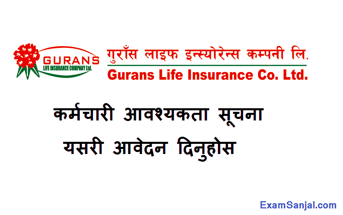 Gurans Life Insurance Company Job Vacancy Notice Officer Accountant CA