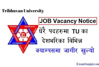 TU Institute of Medicine Birgunj Nursing Campus Job Vacancy