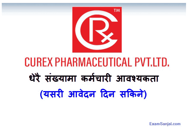 Curex Pharmaceuticals Company Job Vacancy Notice Officer Manager