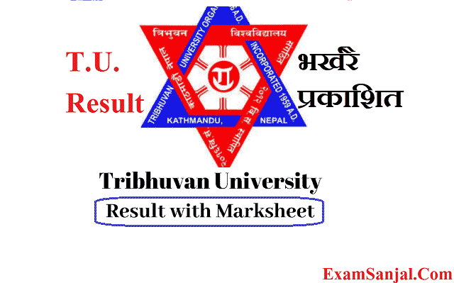 MPA 2nd Year & BSc 4th Year Result published by TU