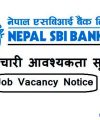Nepal Army Sainik Kalyankari Mahanirdeshanalaya Kosh Job Vacancy Apply