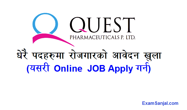 Quest Pharmaceuticals Company Job Vacancy Notice Medicine Company
