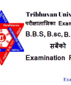 TSC Teacher Service Exam Question Answer Paper Primary Level Prabi Question Paper