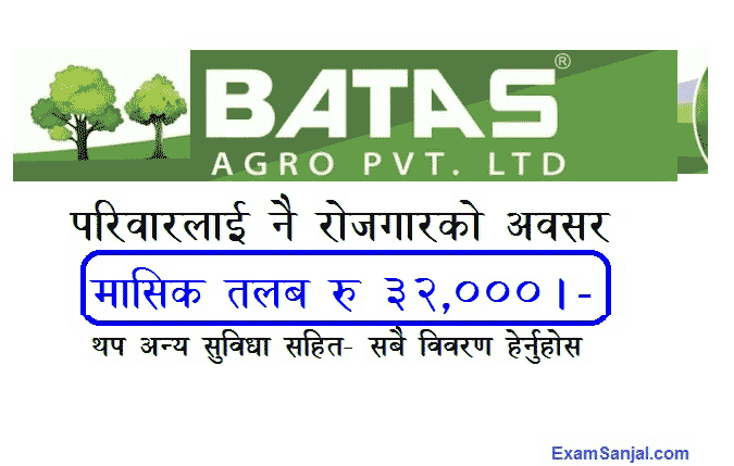 Batas Agro Agriculture Company Job Vacancy Nepal Apply Now