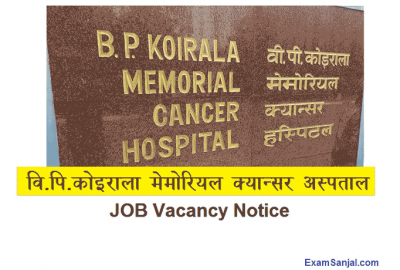 BP Koirala Memorial Cancer Hospital Job Vacancy Notice BPKMCH jobs