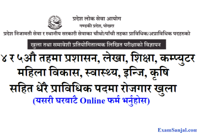 Gandaki Pradesh lok sewa job vacancy 4th 5th level pradesh local level
