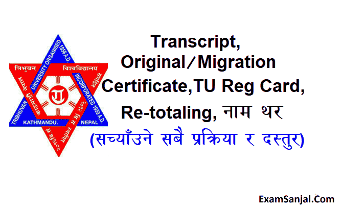 TU Transcript Original Certificate Migration Provisional Document making Process Details with fees