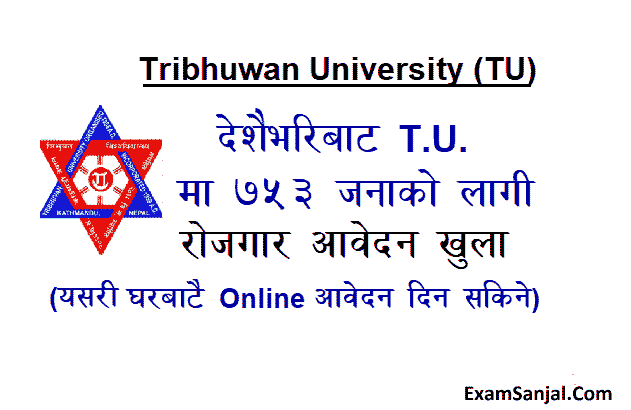 TU Supervisor Volunter Job Vacancy Notice Apply TU Master Trainer