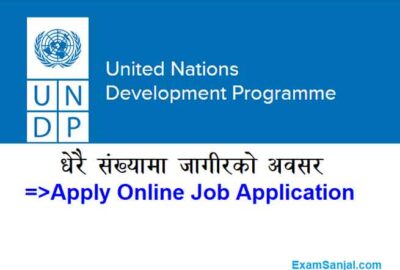 UNDP Job Vacancy United Nations Development Program Job Apply Nepal
