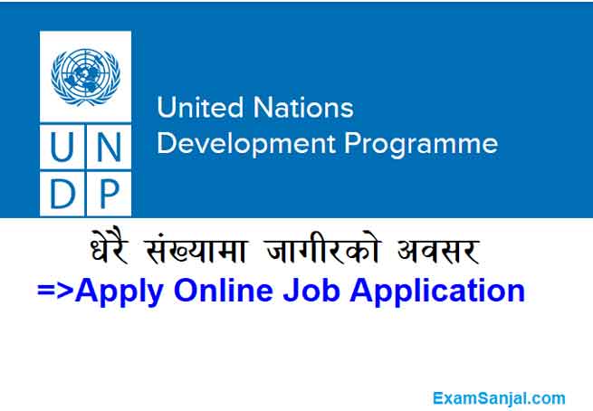 UNDP Job Vacancy United Nations Development Program Job Apply Nepal