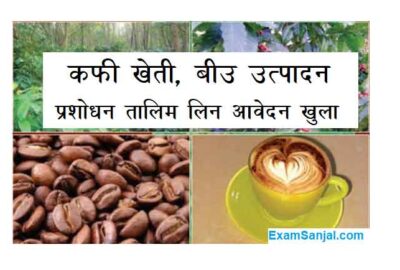 Coffee Farming Seed Production Technology Free Training by NARC