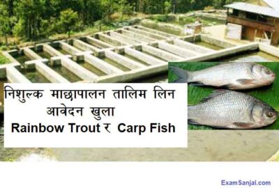 Fish Farming Fisheries Free Training Application Open NARC