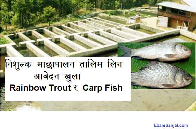 Fish Farming Fisheries Free Training Application Open NARC