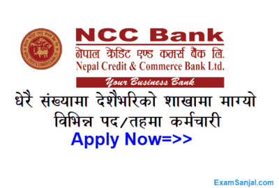 NCC Bank Job Vacancy Nepal Credit & Commerce Bank Jobs