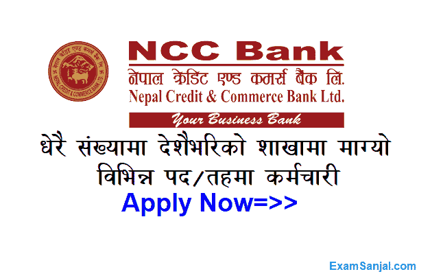 NCC Bank Job Vacancy Nepal Credit & Commerce Bank Jobs