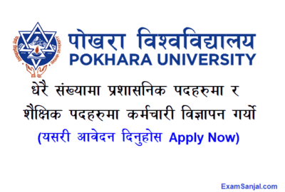 Pokhara University Teacher Job Vacancy & School Teacher Vacancy