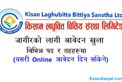 Kisan Laghubitta Bittiya Sanstha Job Vacancy Apply Microfinance Jobs