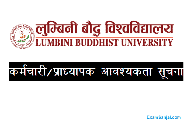 Lumbini Boudha University Job Vacancy Apply Lumbini University Job