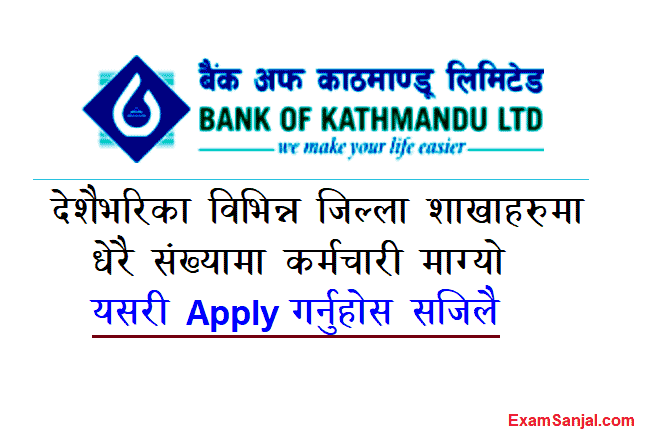 BOK Job Vacancy Notice Bank of Kathmandu Jobs Apply