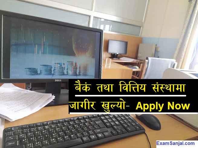 Sindhu Bikash Bank Job Vacancy Apply Banking Career Jobs