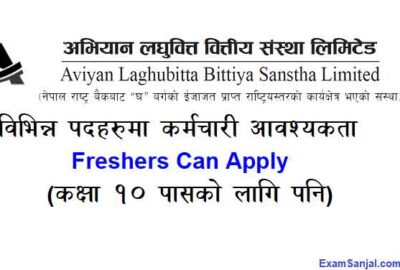 Abhiyan Laghubitta Bittiya Sanstha Job Vacancy Apply Now