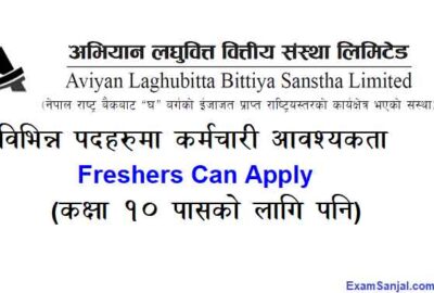 Aviyan Laghubitta Job Vacancy Apply Microfinance Jobs Now
