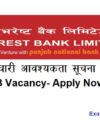 Nepal Punarbima Nepal Re-Insurance Company Vacancy Appointment Niyukti Notice