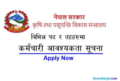 Government Job Ministry of Agriculture & Livestock Development Job Vacancy