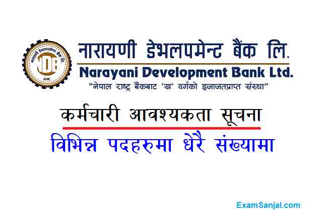 Narayani Development Bank Job Vacancy Apply Banking Jobs Narayan Devlopment Bank
