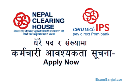 Nepal Clearing House NCHL Connect IPS Company Job Vacancy Apply Now