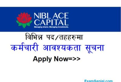 NIBL Ace Capital Job Vacancy Apply Nepal Investment Capital Merchant Jobs