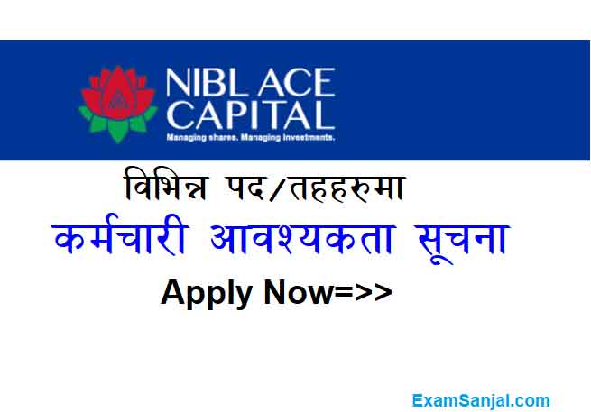 NIBL ACE Capital Merchant Job Vacancy Apply Banking Capital Jobs